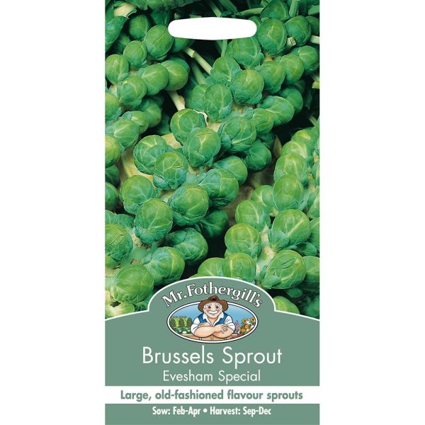 Mr Fothergill's Brussels Sprout Evesham Seeds