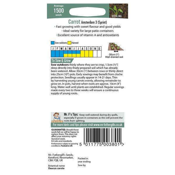 Mr Fothergill's Carrot Amsterdam 3 (Sprint) Seeds - Image 2