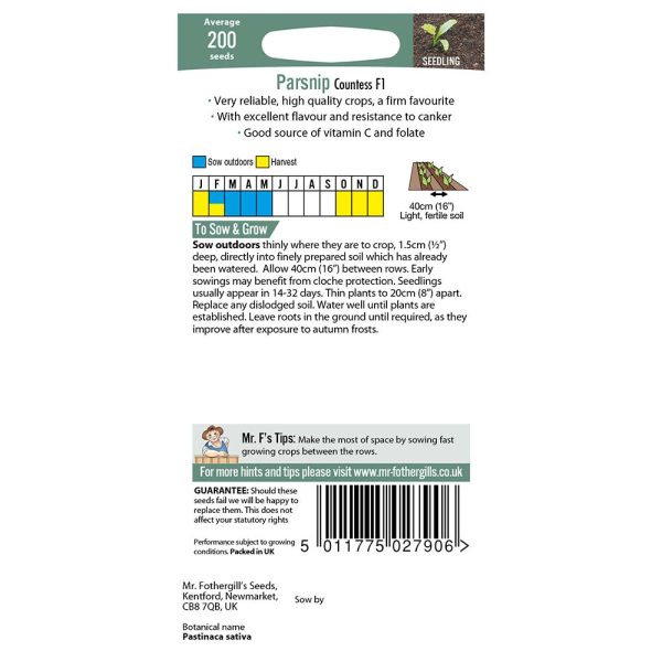 Mr Fothergill's Parsnip Countess F1 Seeds - Image 2