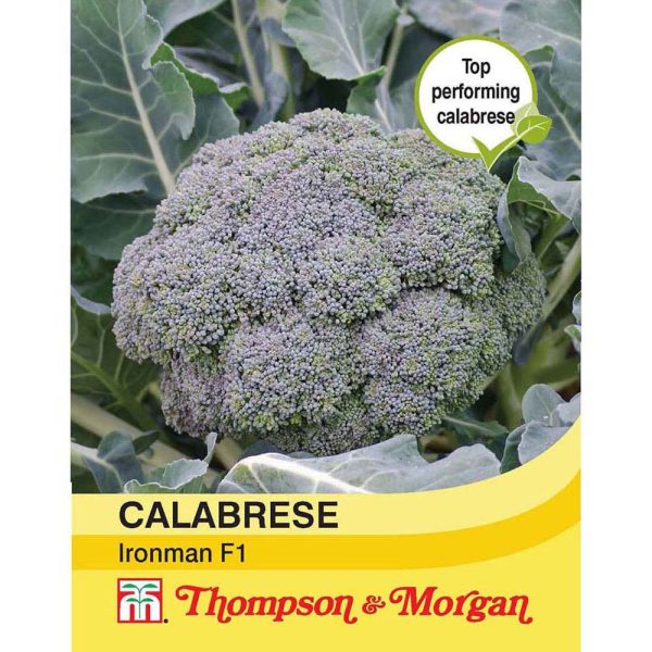 Thompson & Morgan Calabrese Ironman F1 Hybrid Seeds