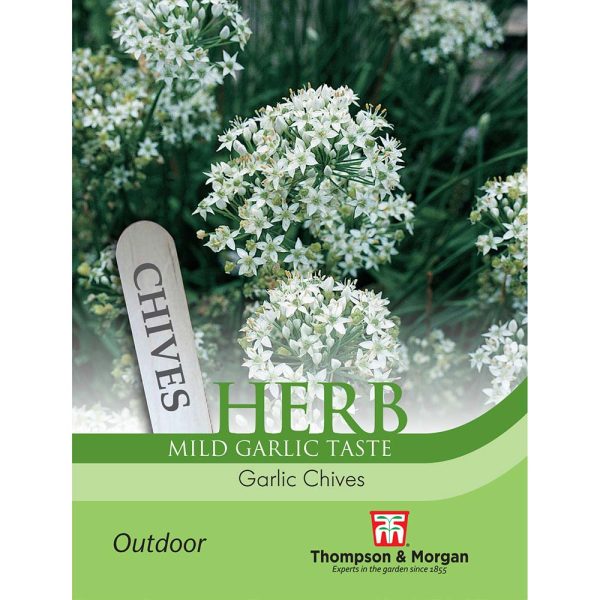 Thompson & Morgan Garlic Chives Seeds