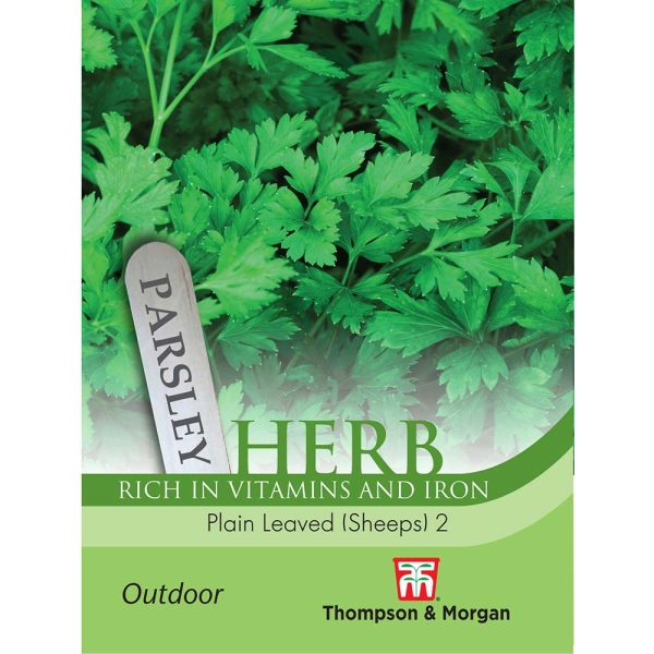 Thompson & Morgan Parsley Plain Leaved (Sheeps) 2 Seeds