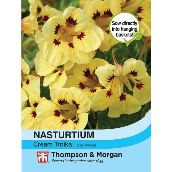 Thompson & Morgan Nasturtium Cream Troika Seeds