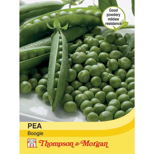 Thompson & Morgan Pea Boogie Seeds