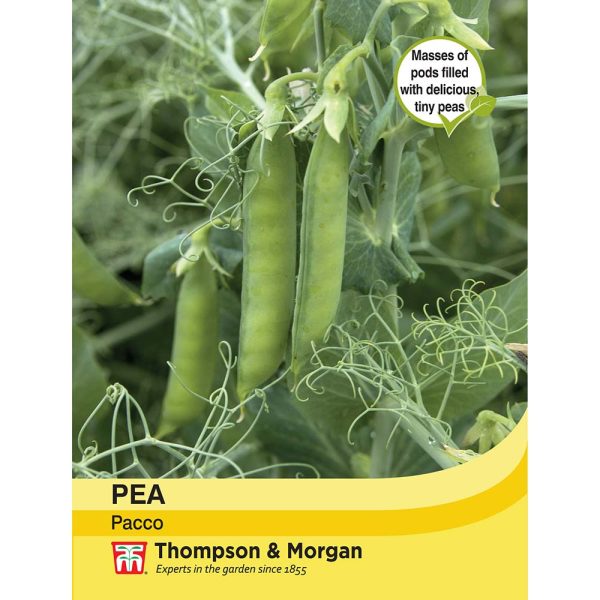 Thompson & Morgan Pea Pacco Seeds