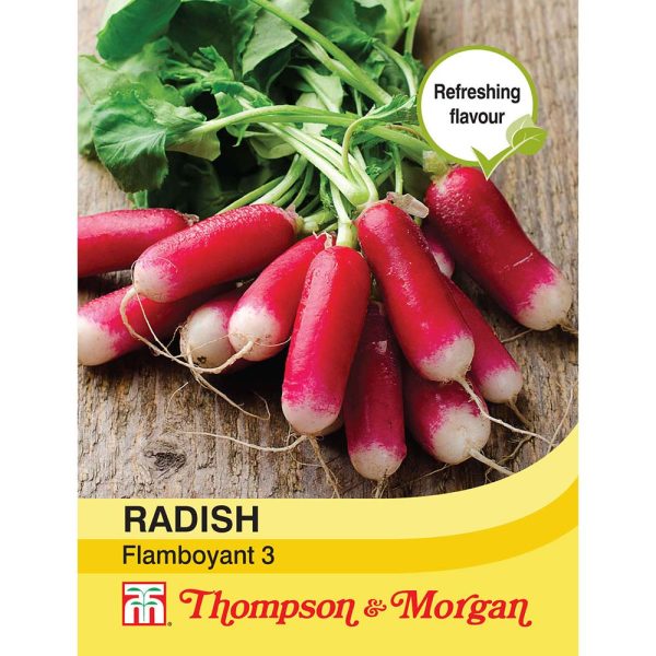 Thompson & Morgan Radish Flamboyant 3 Seeds