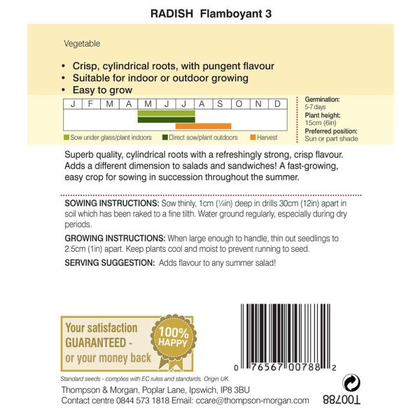 Thompson & Morgan Radish Flamboyant 3 Seeds - Image 2