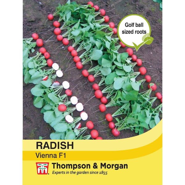 Thompson & Morgan Radish Vienna F1 Hybrid Seeds