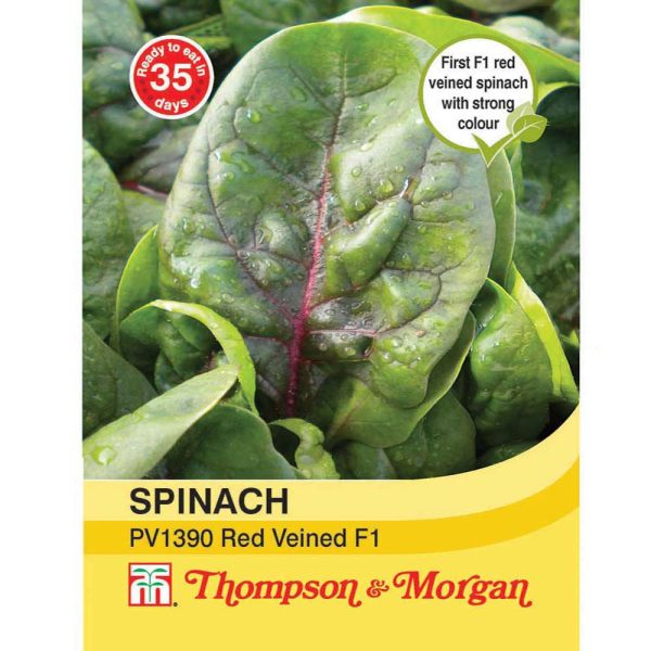 Thompson & Morgan Spinach Pv1390 Red Veined Seeds