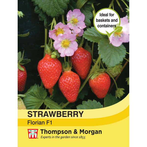 Thompson & Morgan Strawberry Florian F1 Hybrid Seeds