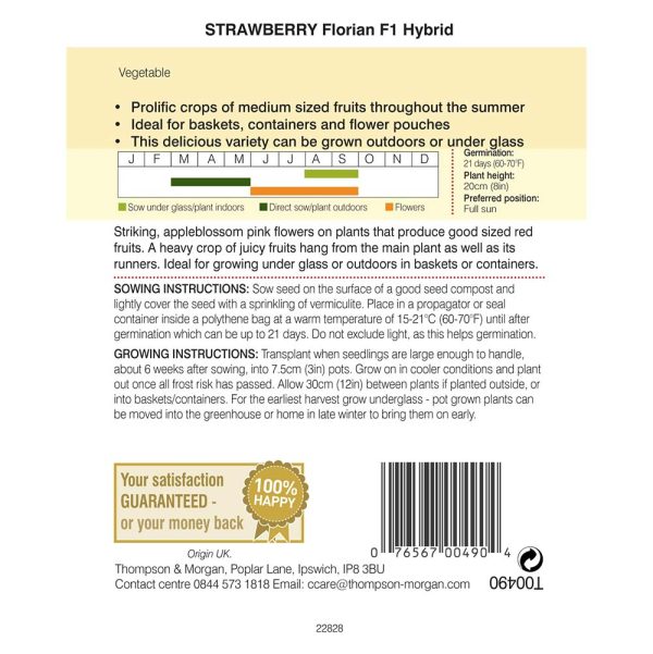 Thompson & Morgan Strawberry Florian F1 Hybrid Seeds - Image 2