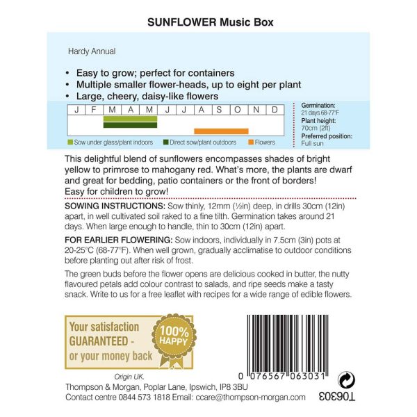 Thompson & Morgan Sunflower Music Box Seeds - Image 2