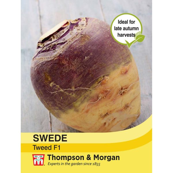 Thompson & Morgan Swede Tweed Seeds