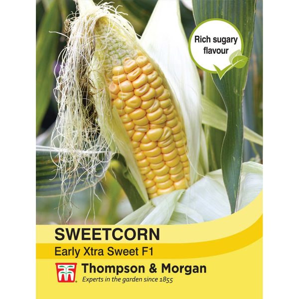 Thompson & Morgan Sweetcorn Early Xtra Sweet F1 Hybrid Seeds