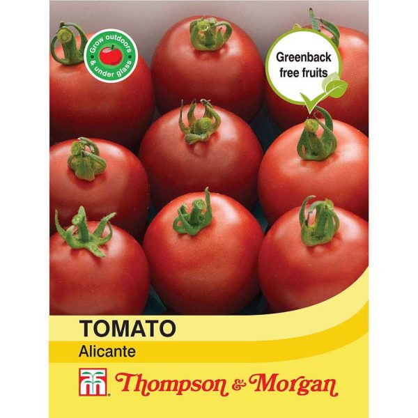 Thompson & Morgan Tomato Alicante Seeds