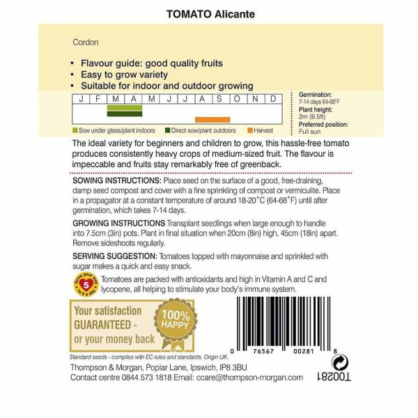 Thompson & Morgan Tomato Alicante Seeds - Image 2