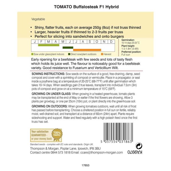 Thompson & Morgan Tomato Buffalosteak F1 Hybrid Seeds - Image 2