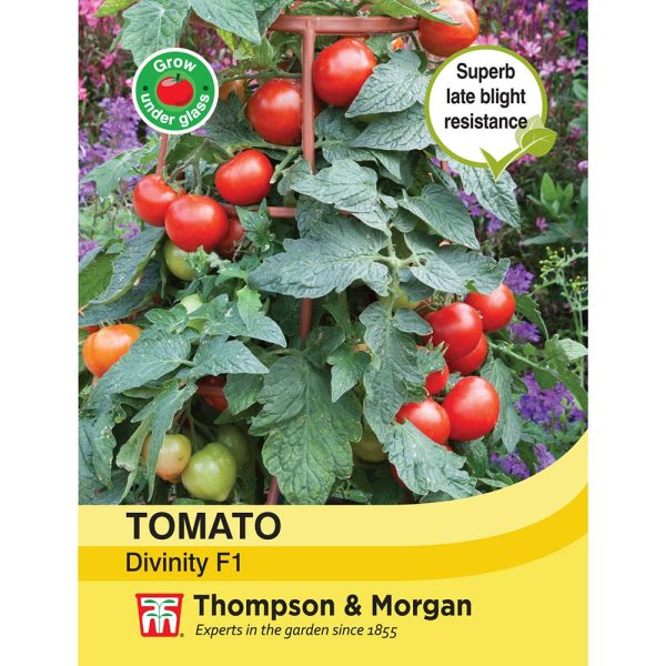 Thompson & Morgan Tomato Divinity Seeds