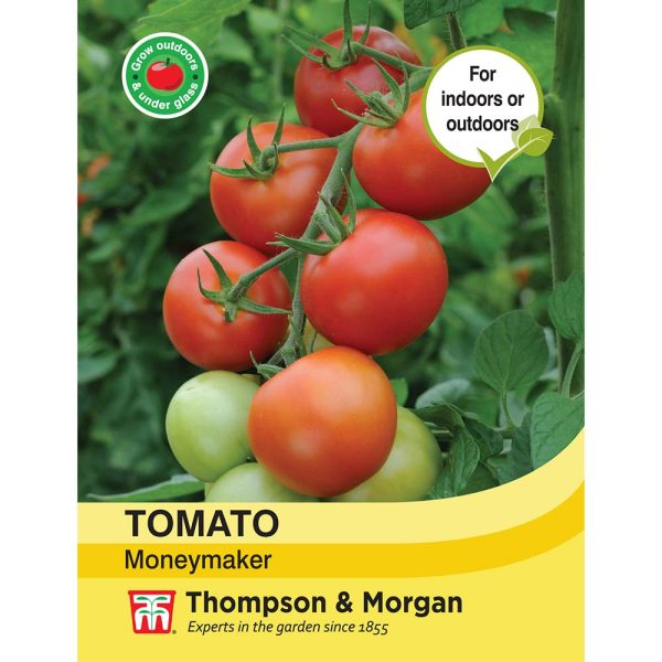 Thompson & Morgan Tomato Moneymaker Seeds