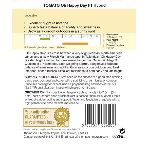 Thompson & Morgan Tomato Oh Happy Day F1 Hybrid Seeds - Image 2