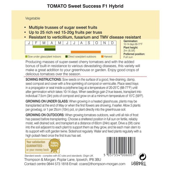 Thompson & Morgan Tomato Sweet Success F1 Hybrid Seeds - Image 2