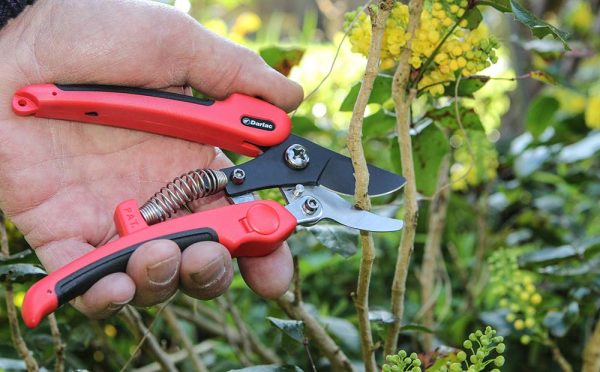 Darlac Compound Action Pruner