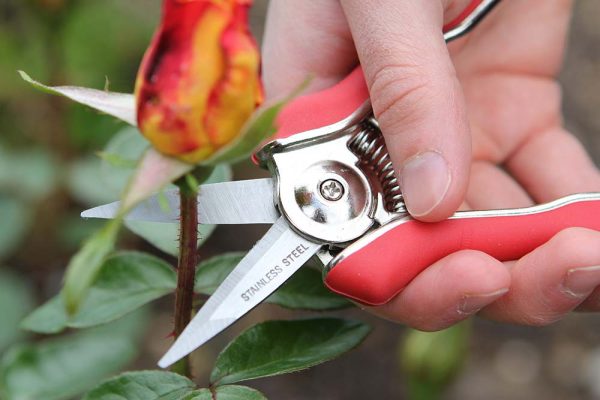 Darlac Stainless Steel Mini Snips