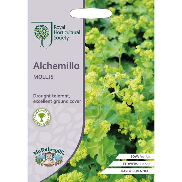 Mr Fothergill's RHS Alchemilla Mollis Seeds