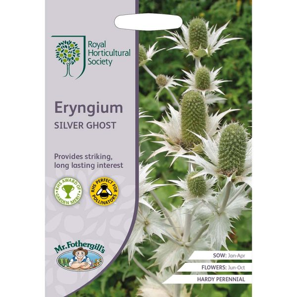 Mr Fothergill's RHS Eryngium Silver Ghost Seeds