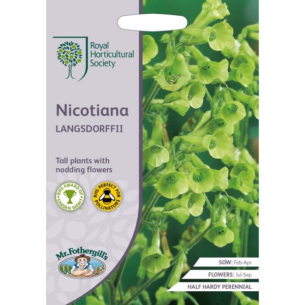 Mr Fothergill's RHS Nicotiana Langsdorffii Seeds