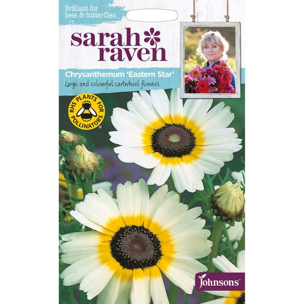 Sarah Raven Chrysanthemum Eastern Star Seeds