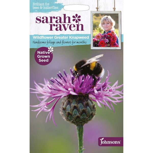 Sarah Raven Greater Knapweed Seeds