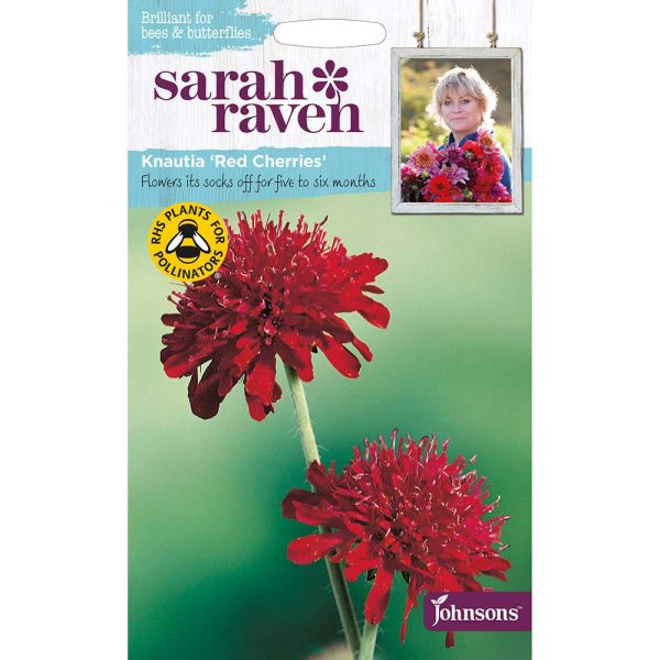 Sarah Raven Knautia Red Cherries Seeds