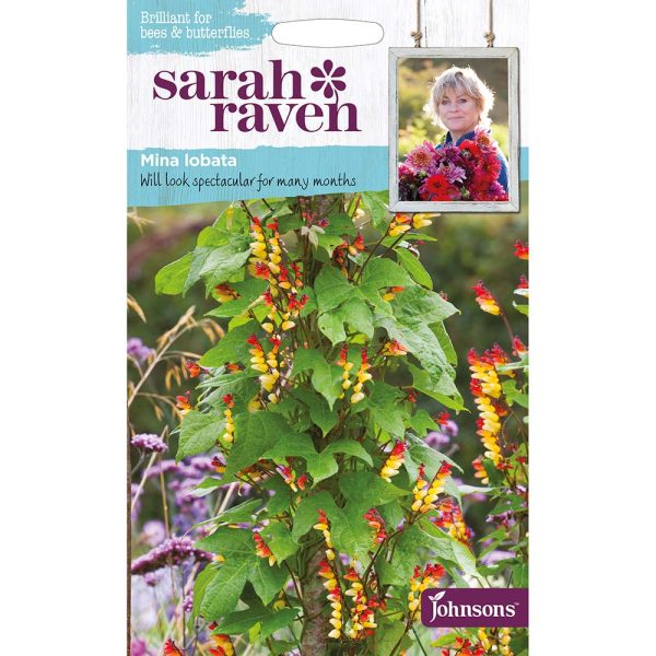 Sarah Raven Mina Lobata Seeds