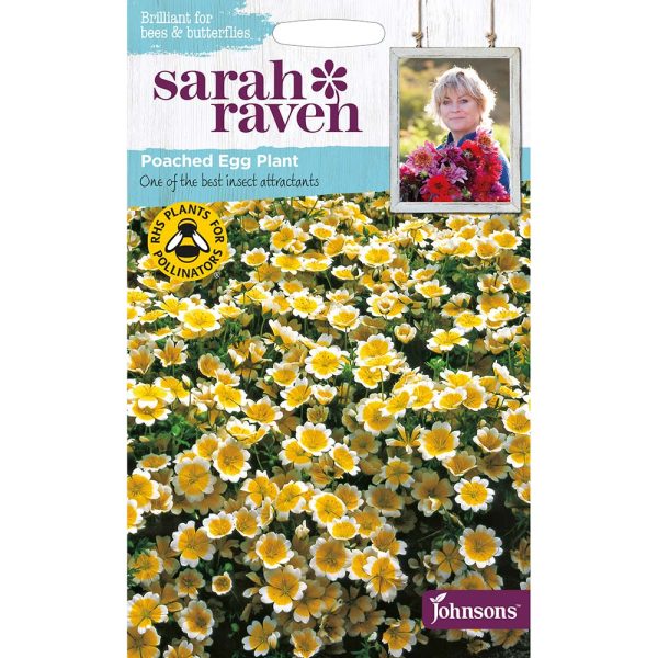 Sarah Raven Poached Egg Plant Seeds