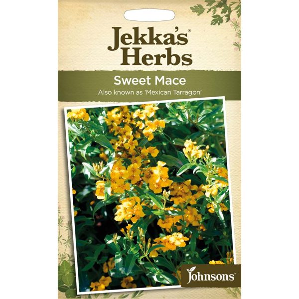 Jekka's Herbs Sweet Mace Mexican Tarr Seeds