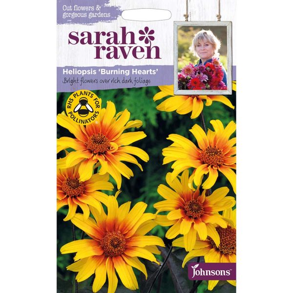 Sarah Raven Heliopsis Burning Hearts Seeds