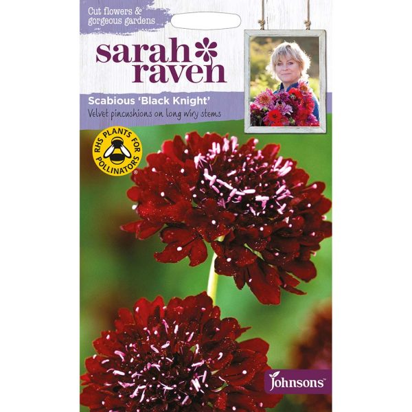 Sarah Raven Scabious Black Knight Seeds