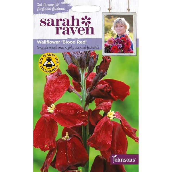 Sarah Raven Wallflower Blood Red Seeds