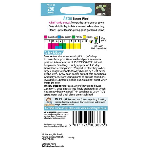 Mr Fothergill's Aster Pompon Mixed Seeds - Image 2
