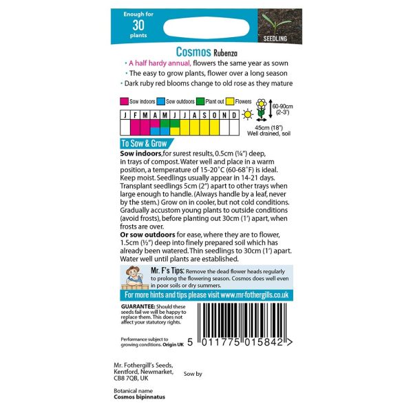 Mr Fothergill's Cosmos Rubenza Seeds - Image 2