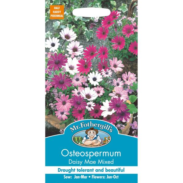 Mr Fothergill's Osteospermum Daisy Mae Mixed Seeds