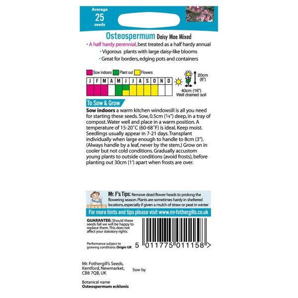 Mr Fothergill's Osteospermum Daisy Mae Mixed Seeds - Image 2