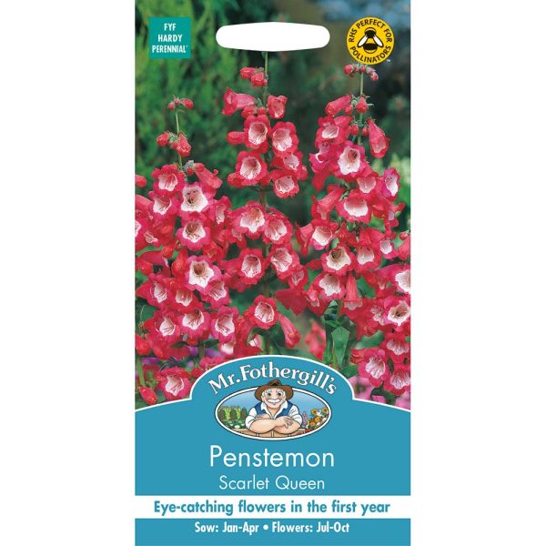 Mr Fothergill's Penstemon Scarlet Queen Seeds