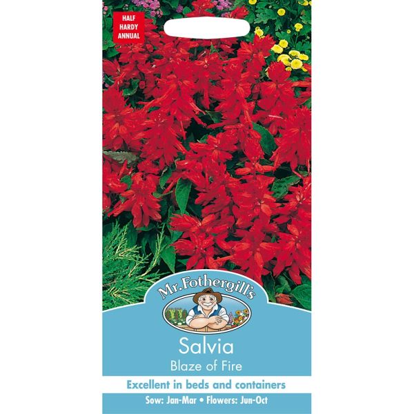 Mr Fothergill's Salvia Blaze Of Fire Seeds