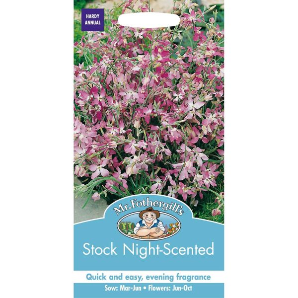 Mr Fothergill's Stock Night Scented Seeds