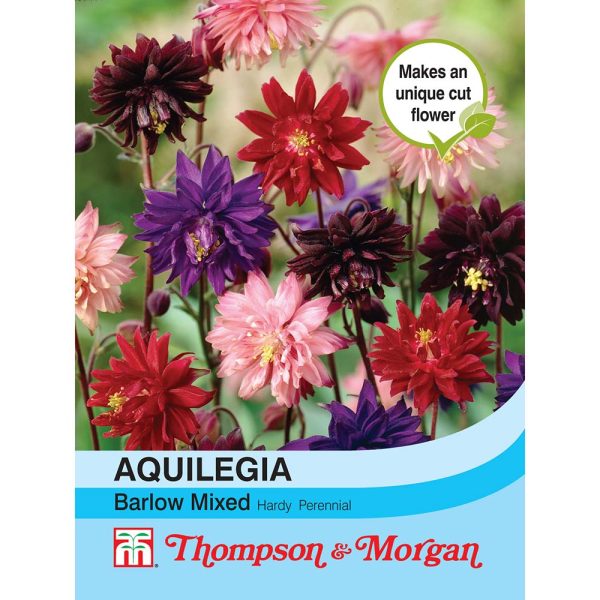 Thompson & Morgan Aquilegia Nora Barlow Mixed Seeds