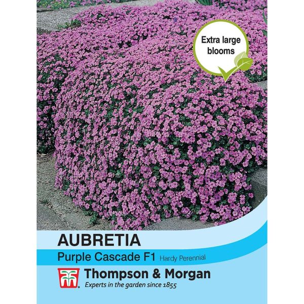 Thompson & Morgan Aubrieta Purple Cascade Seeds