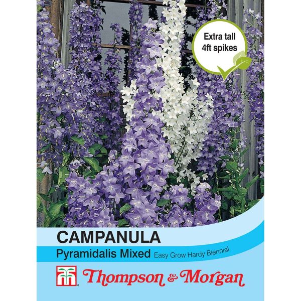 Thompson & Morgan Campanula Pyramidalis Mixed Seeds