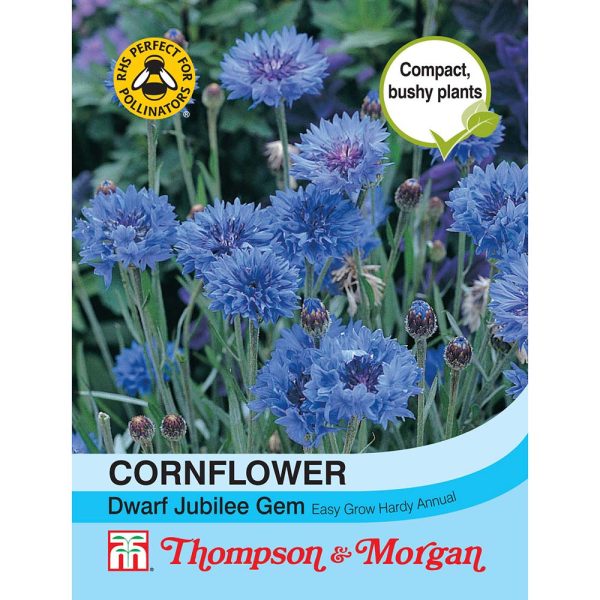 Thompson & Morgan Cornflower Dwarf Jubilee Gem Seeds